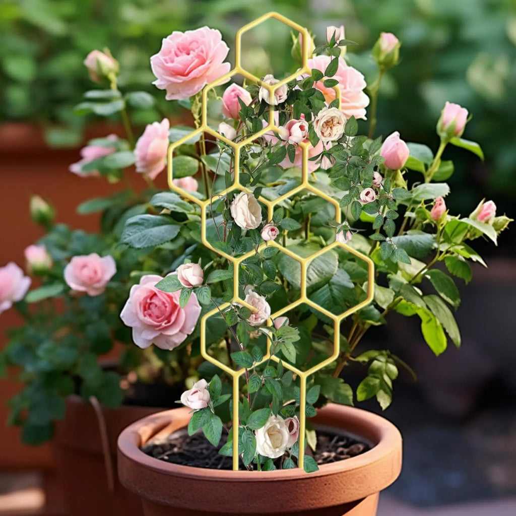 Rustproof Plastic Plant Trellis for Potted Vines & Flowers