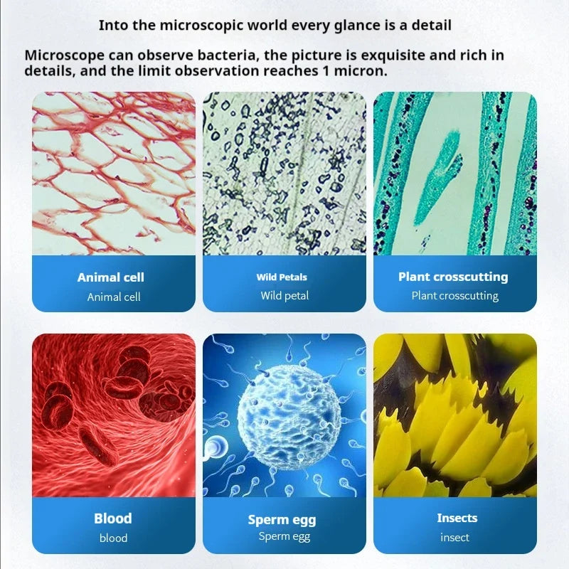 Research Grade Biological Microscope | Plan Infinity Optical System