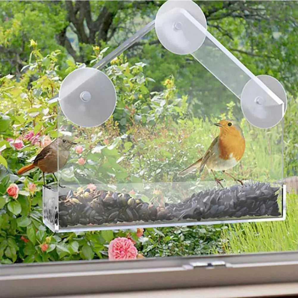 Clear Acrylic Window Bird Feeder with Suction Cup – Outdoor