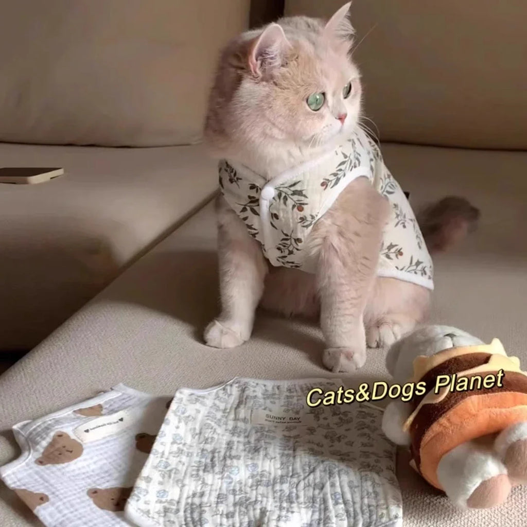 Bear Pet Vest Dog Clothes Cat Solid T-shirt Clothing Dogs Thin Small