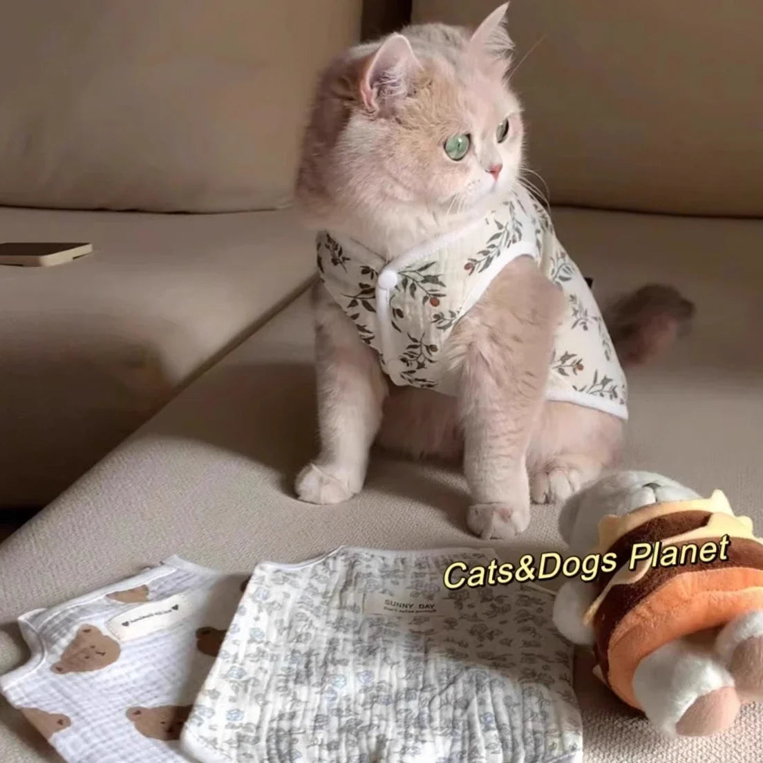 Bear Pet Vest Dog Clothes Cat Solid T-shirt Clothing Dogs Thin Small