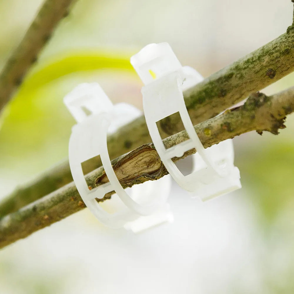 100PCS Reusable Plastic Plant Clips – Tomato & Vine Support
