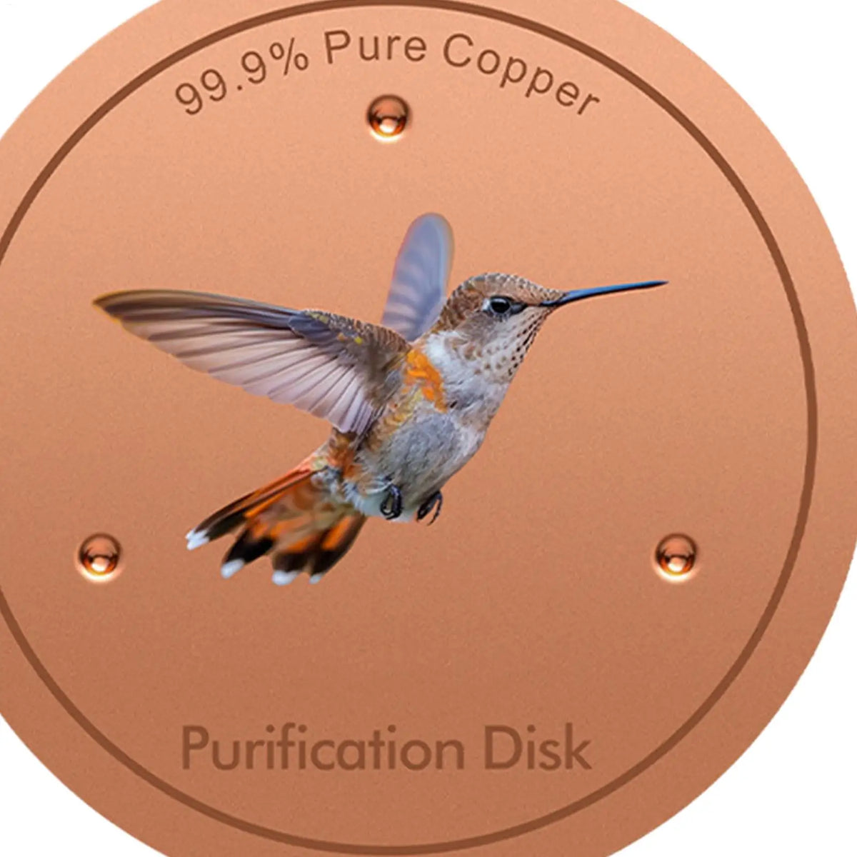 Copper Metal Bird Bath Purifier Disc | Triple-Point Support