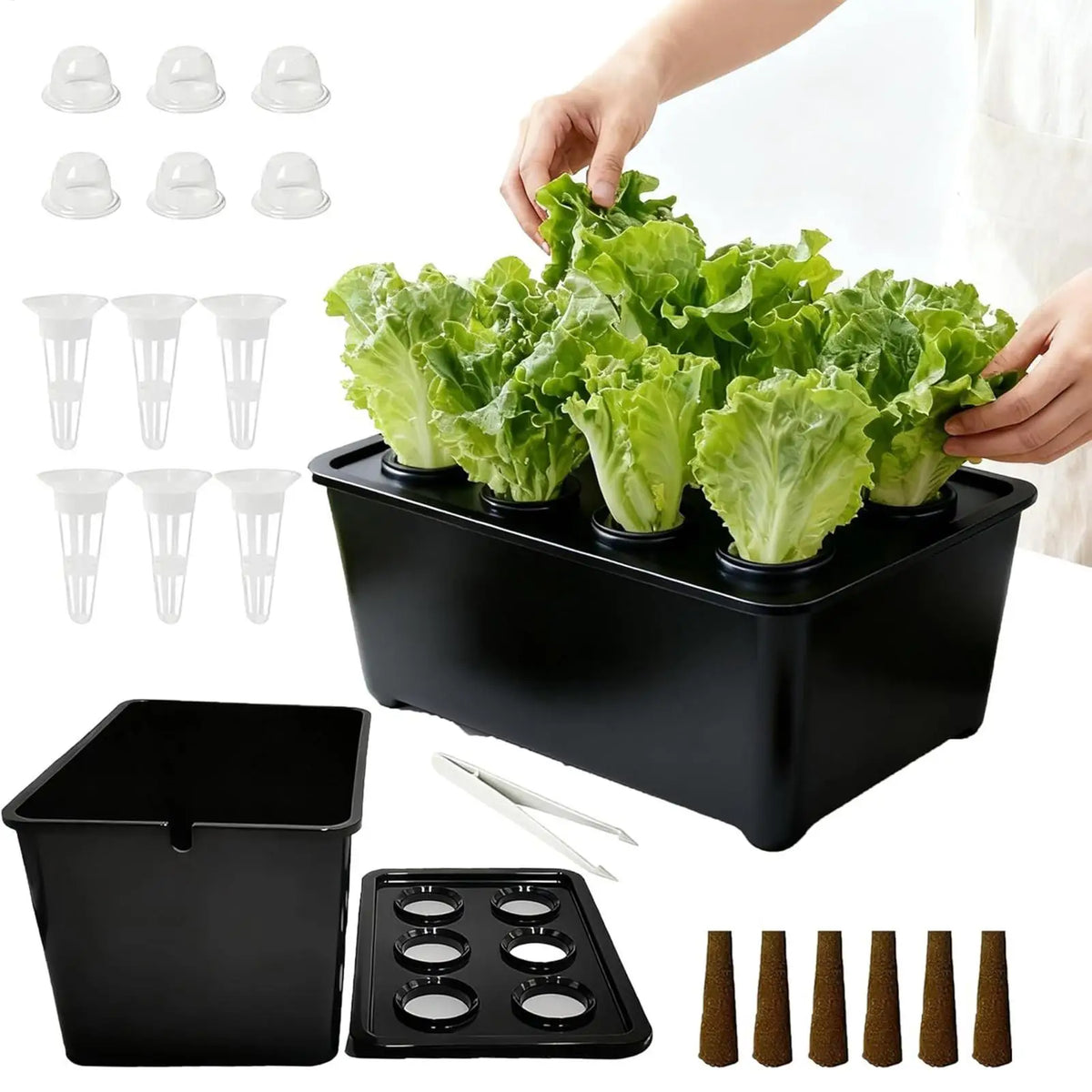 Indoor Hydroponic Planting Kit – Seedling Box for Home & Balcony