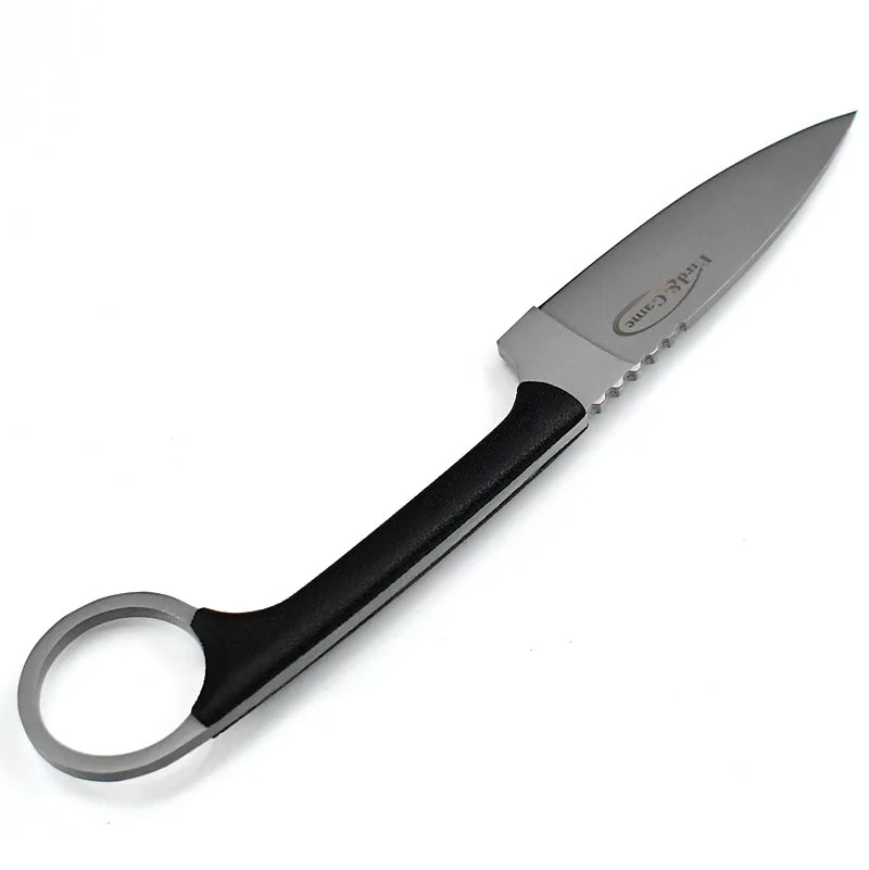Portable Stainless Steel Fruit Knife with Sheath | Sharp Paring