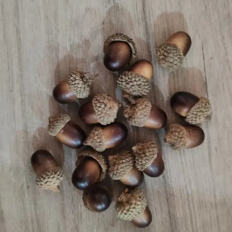 50 Pcs Faux Acorns – Autumn Vase Filler & Wreath Ornaments