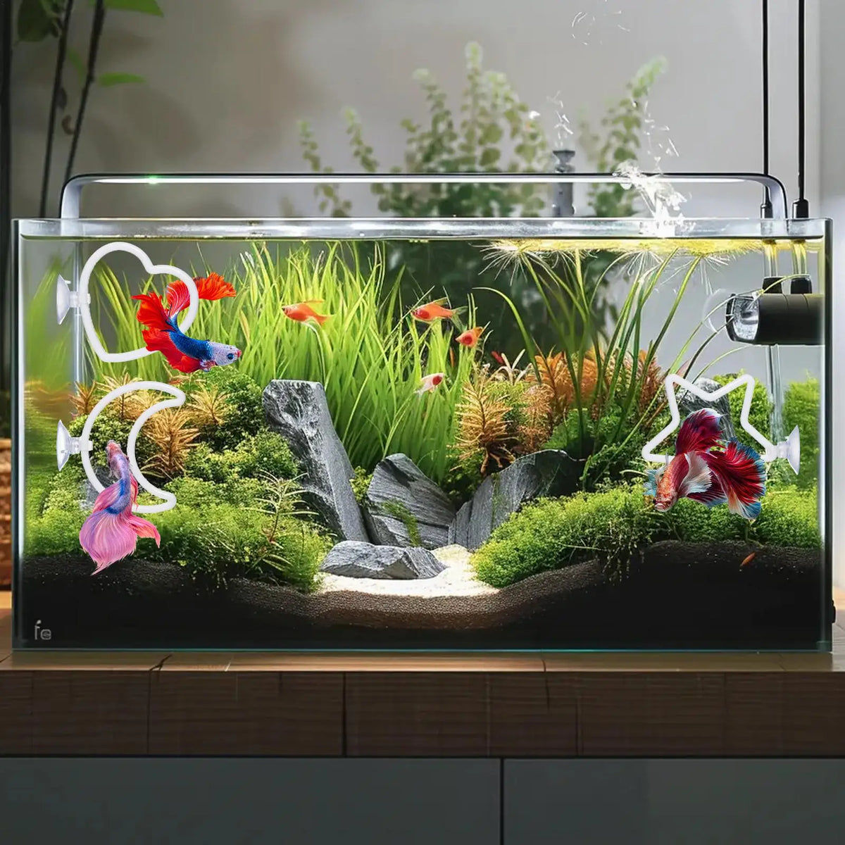 Betta Fish Exercise Rings & Filter Balls | Interactive Aquarium Toy