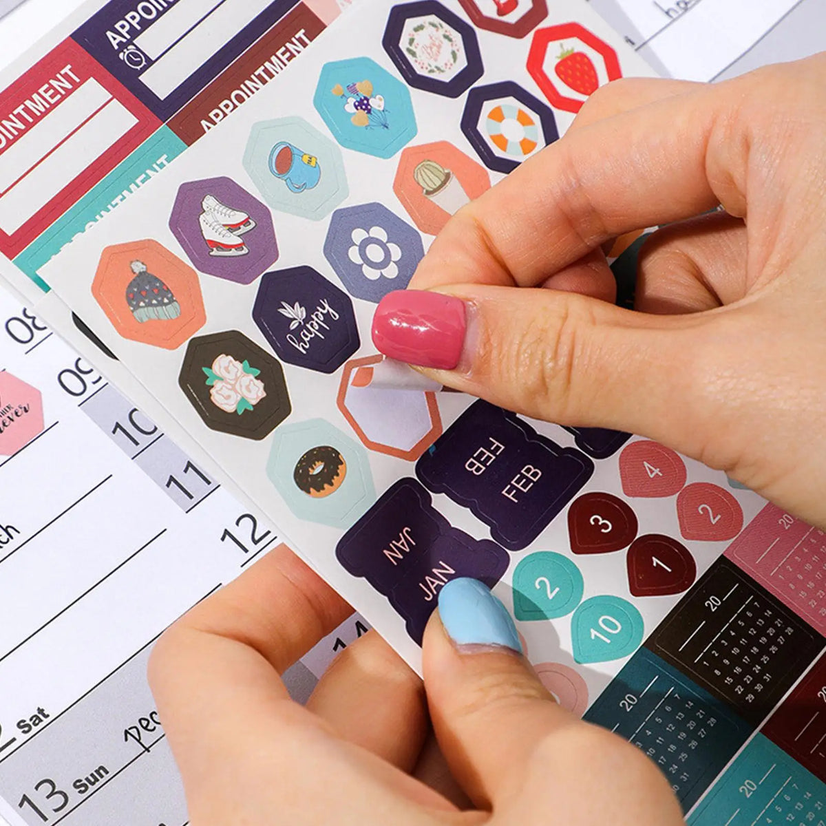 Yearly Calendar 2026 Monthly Wall Planner Reusable Scheduling