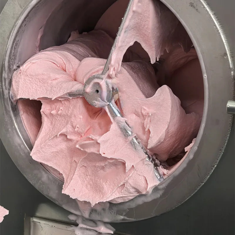 Commercial Hard Ice Cream Maker Machine 48L/H | MYH-28-2T 12L