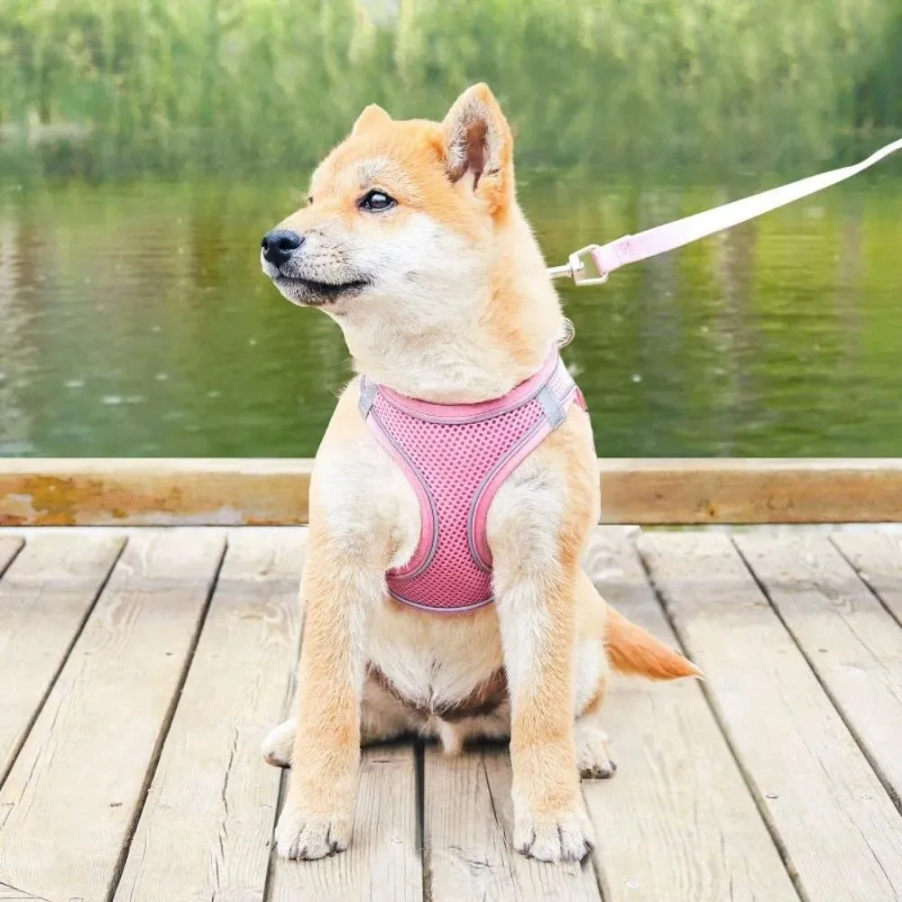 Adjustable Dog & Cat Harness Leash Set | Reflective, Escape-Proof