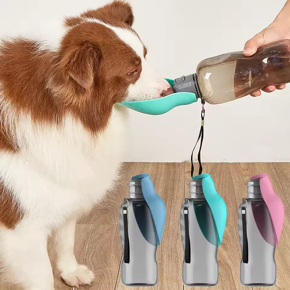 800ml Portable Dog Water Bottle – Foldable Leak-Proof Travel Bowl