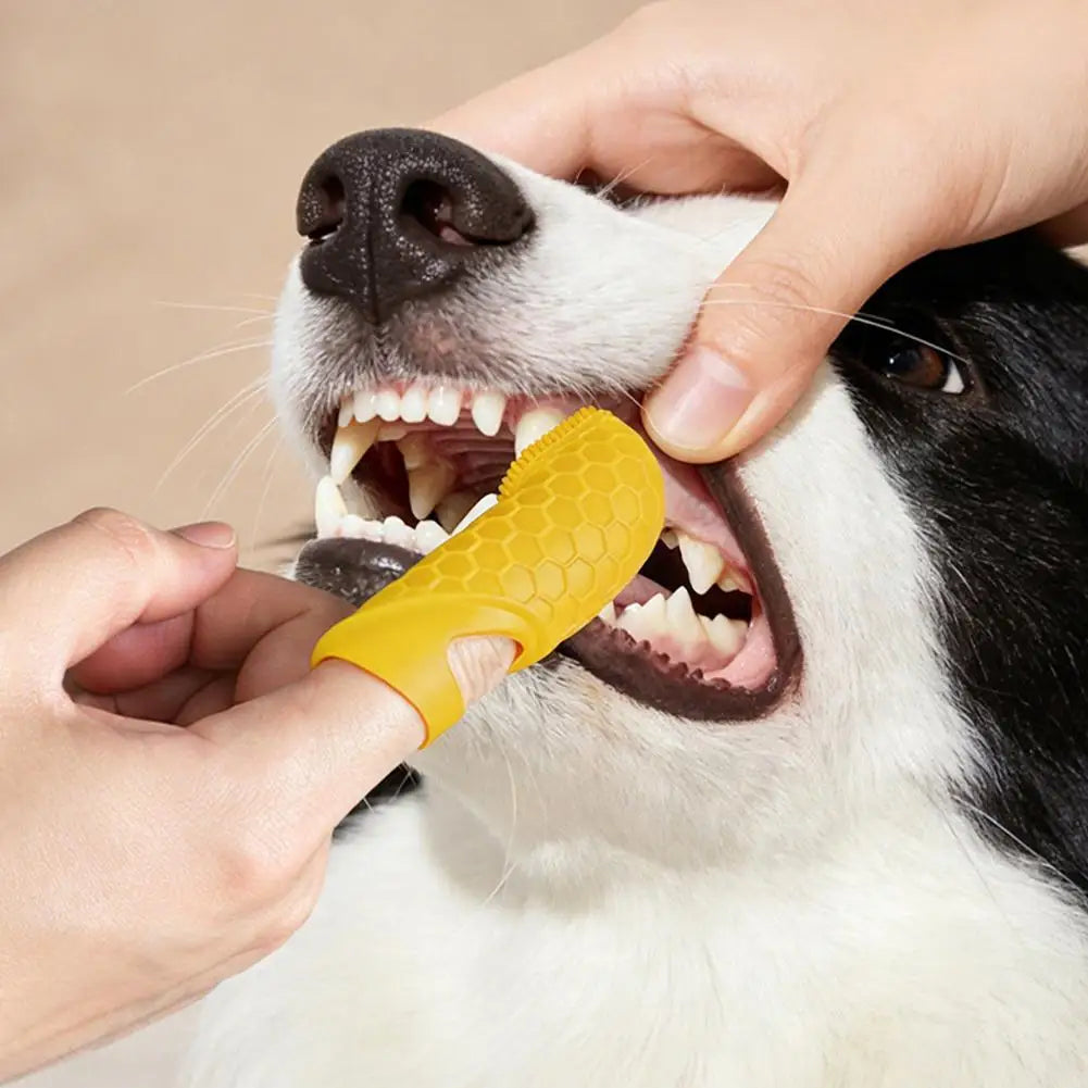 Silicone Pet Finger Toothbrush – Dog & Cat Dental Care 3-Pack