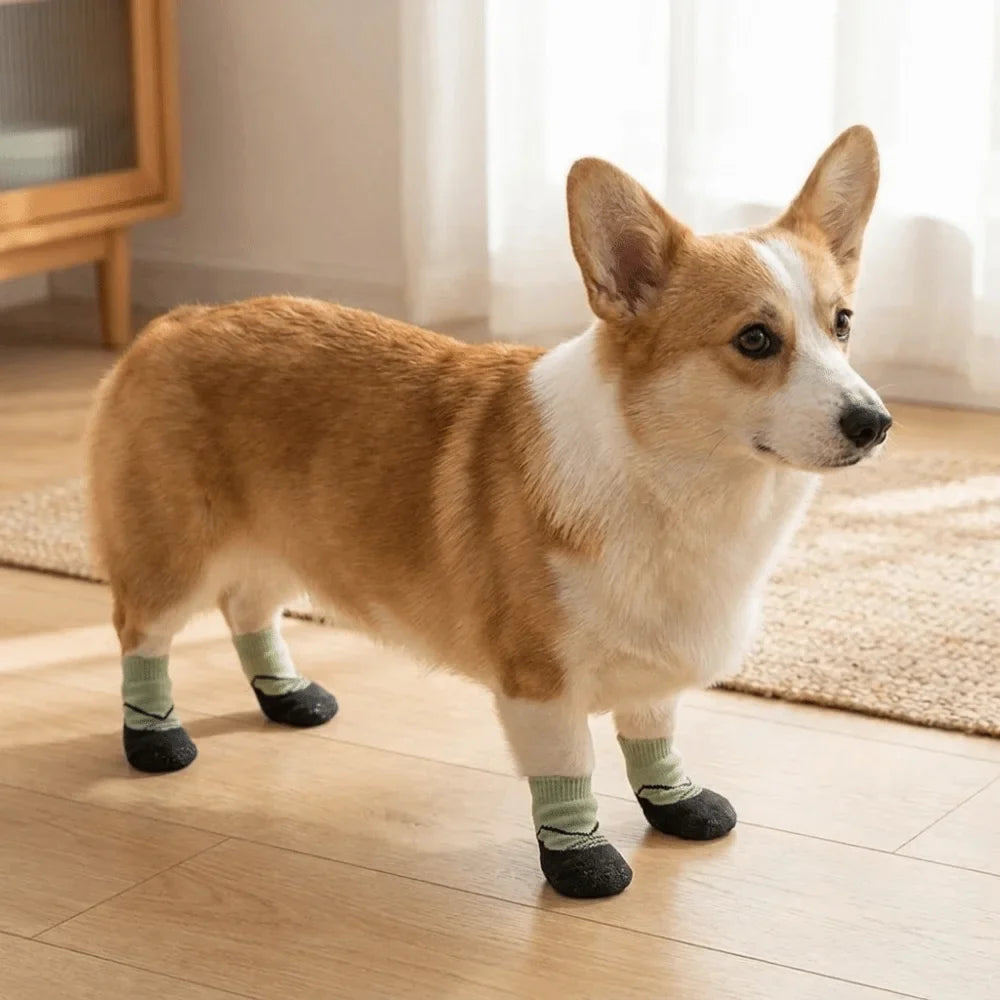 4PCS Waterproof Non-Slip Dog Shoes | Adjustable Paw Protectors