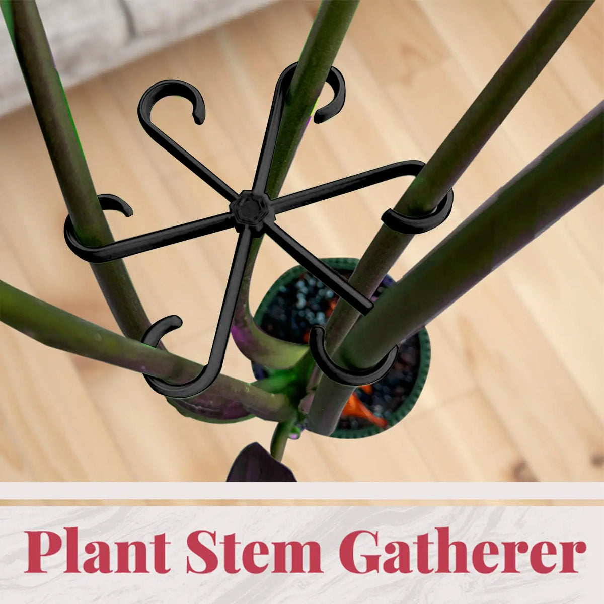 4-Piece Plant Stem Support Set for Climbing Indoor Plants