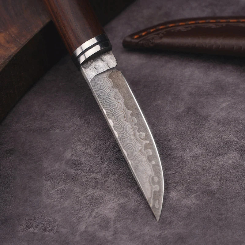 Damascus Pattern Chef Knife 10Cr15MoV Steel | COOKCRAZE 3-Inch