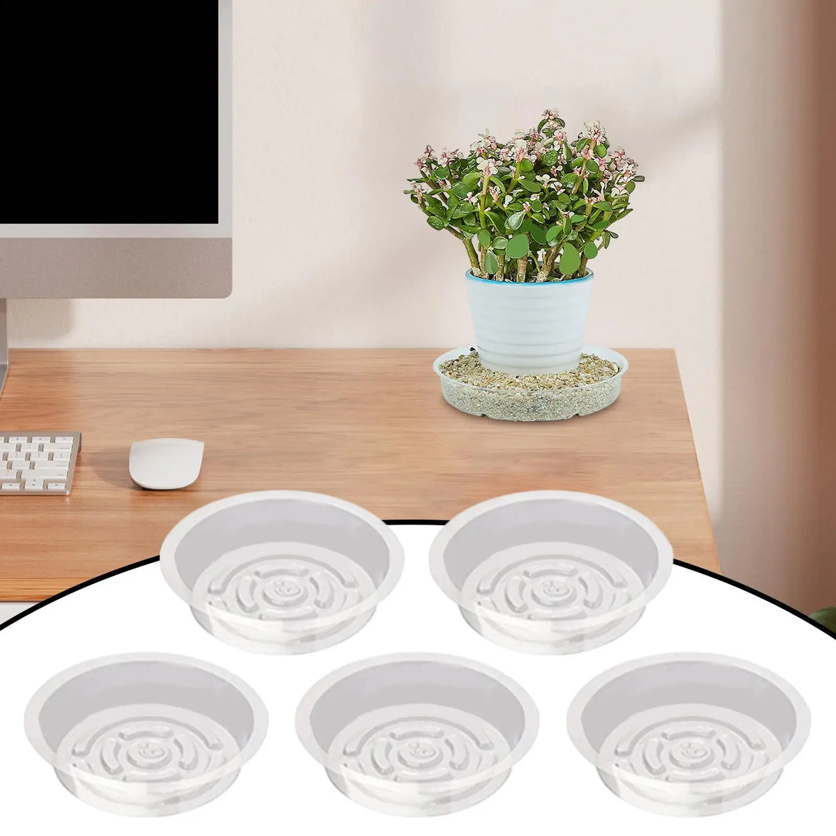 Clear Plant Saucer Trays 5-Pack | 6", 8" & 10" Drainage Dishes