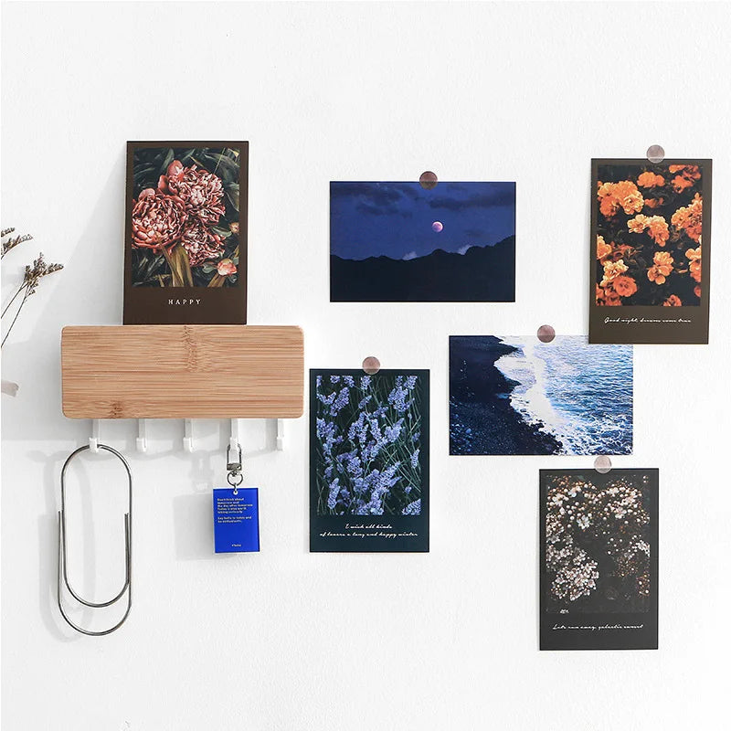 Beautiful Begonia Flower Clear Night Sky Series Postcard INS Greeting