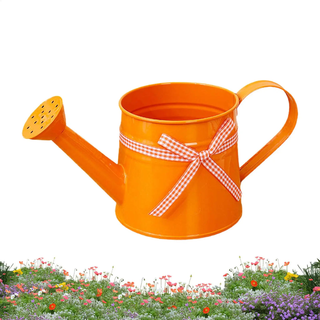 Mini Metal Watering Can – Decorative Indoor Plant Sprinkler 1L