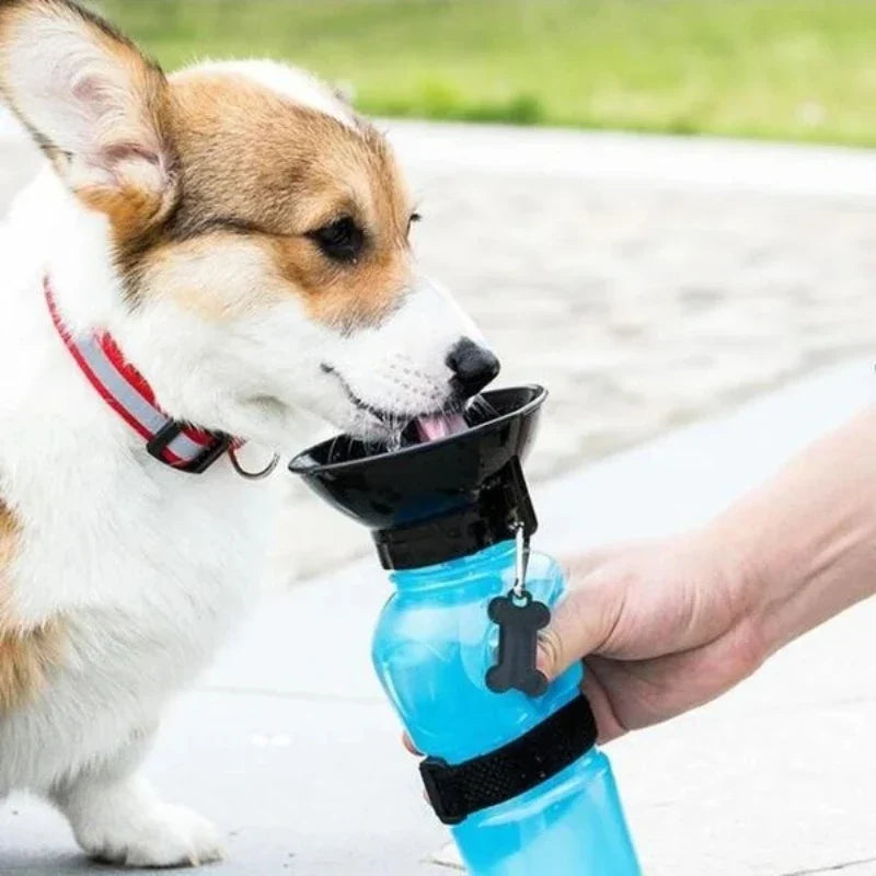 500ml Portable Pet Water Bottle & Travel Bowl for Dogs & Cats