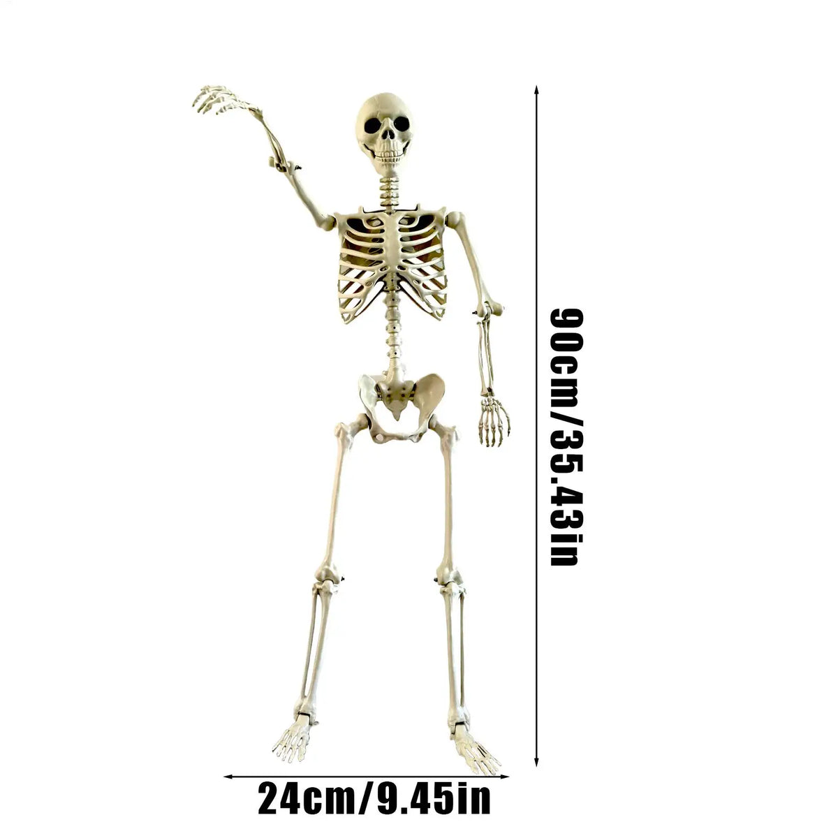 Life-Size Halloween Skeleton with Posable Joints | Haunted Decor