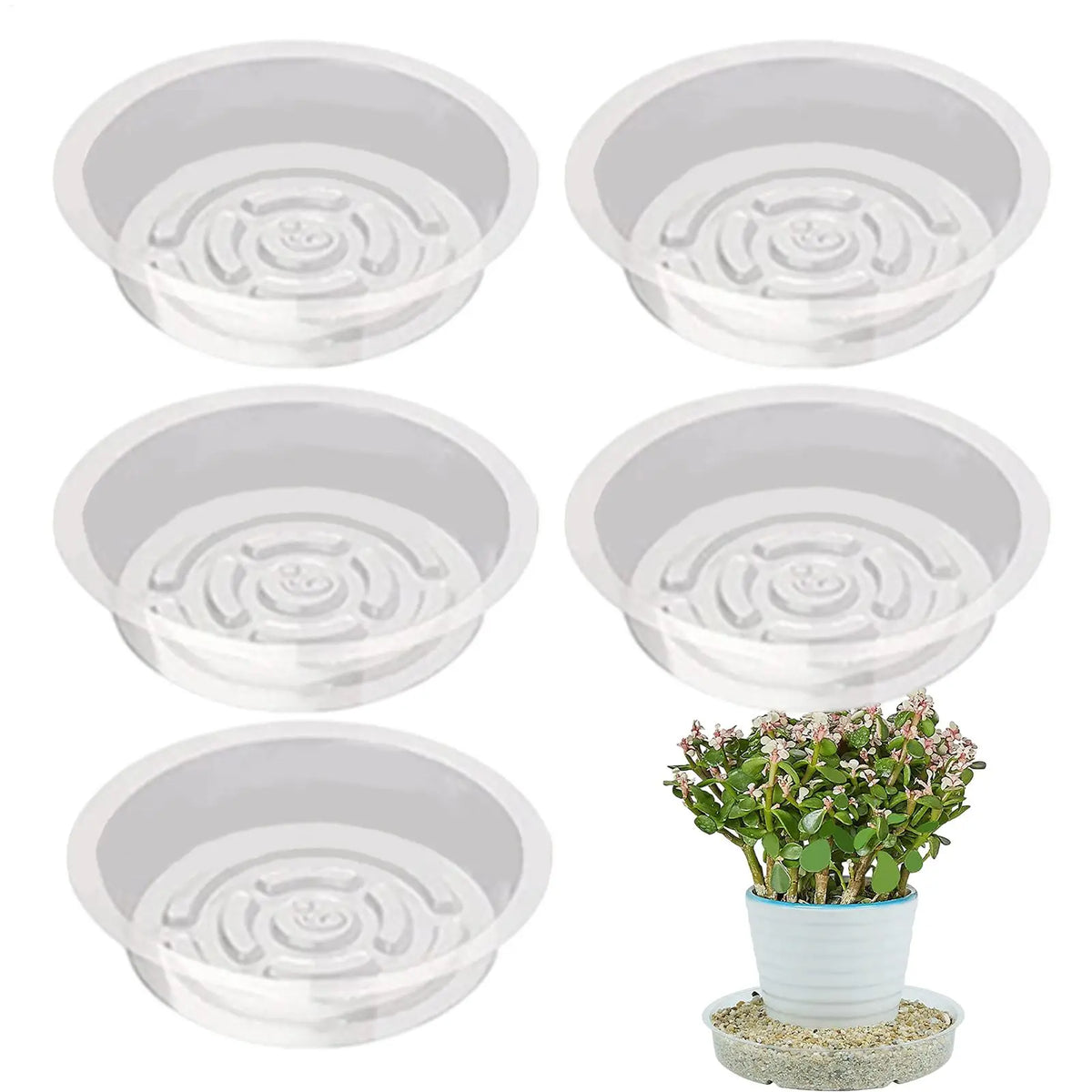 Clear Plant Saucer Trays 5-Pack | 6", 8" & 10" Drainage Dishes