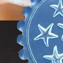 3D Starfish Silicone Nail Art Mold – Summer Manicure Stencil