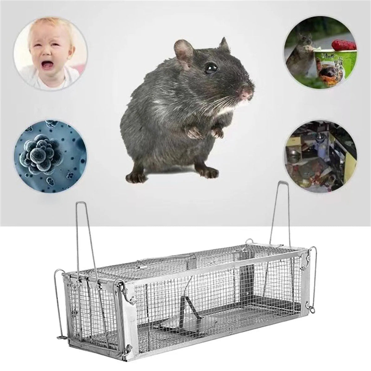 Humane Double-Door Live Mouse Trap | Reusable Iron Cage
