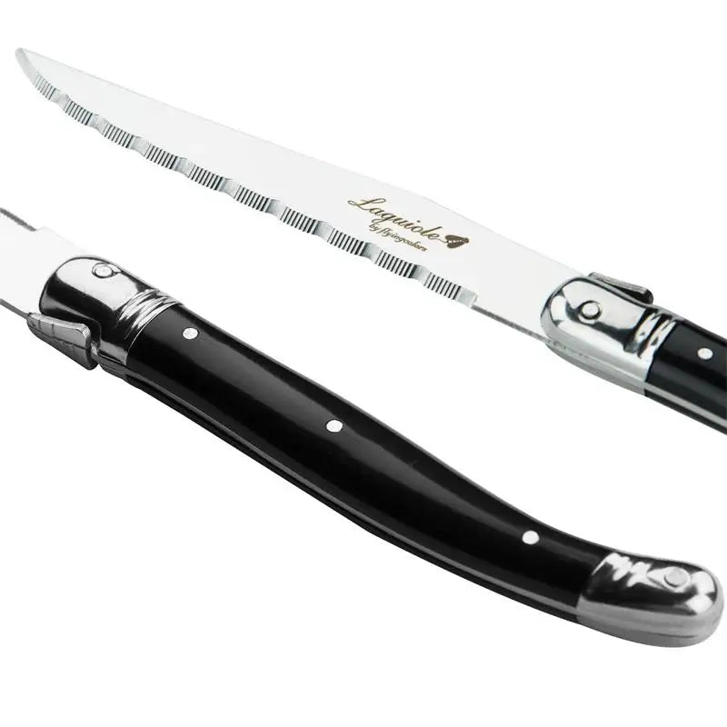 8-Piece Rainbow Laguiole Steak Knife Set – Stainless Steel