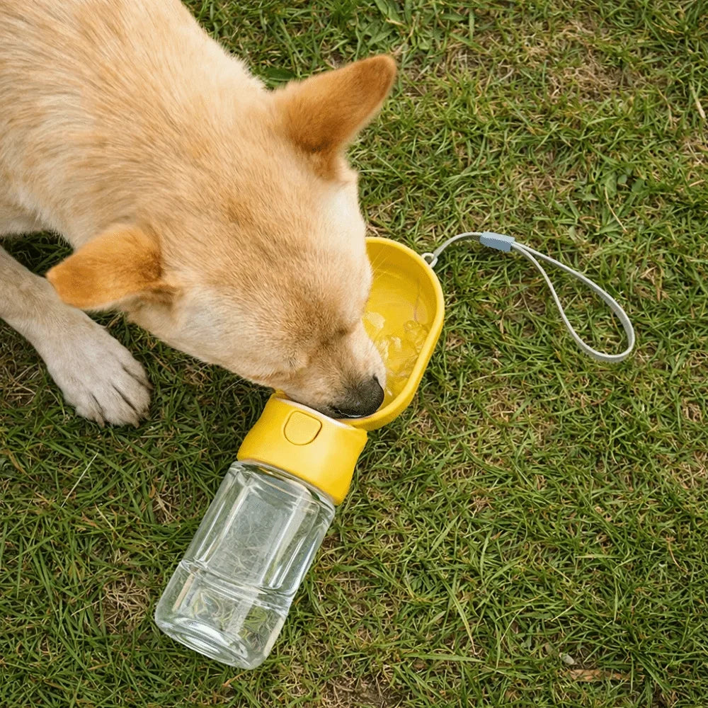 Leak-Proof Dog Travel Water Bottle with Filter | 380–500ml