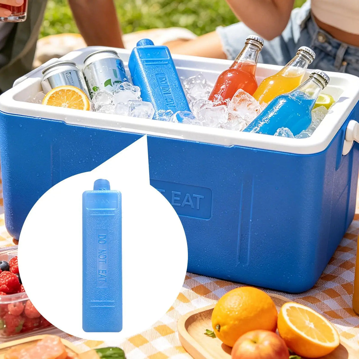Reusable Ice Packs for Coolers, Lunch Boxes & Camping