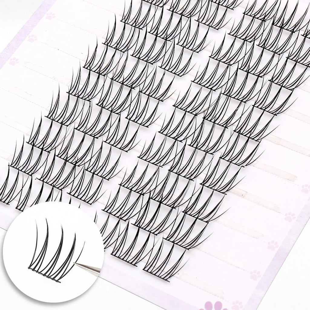 Korean Idol Manga Cluster Lashes | Wispy 3D Lash Extensions
