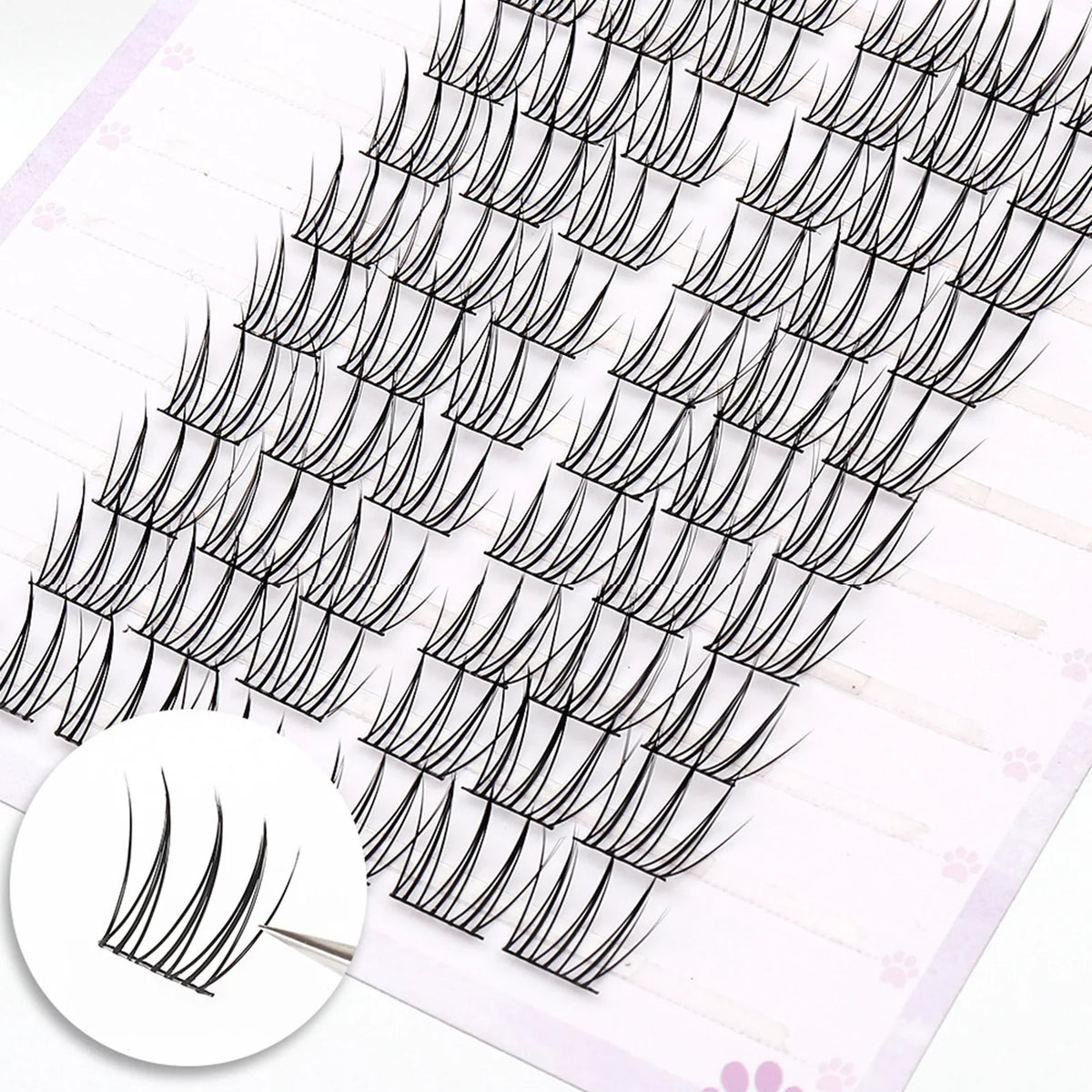 Korean Idol Manga Cluster Lashes | Wispy 3D Lash Extensions