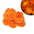 Marigold LED Flower String Lights | Artificial Chrysanthemum Decor