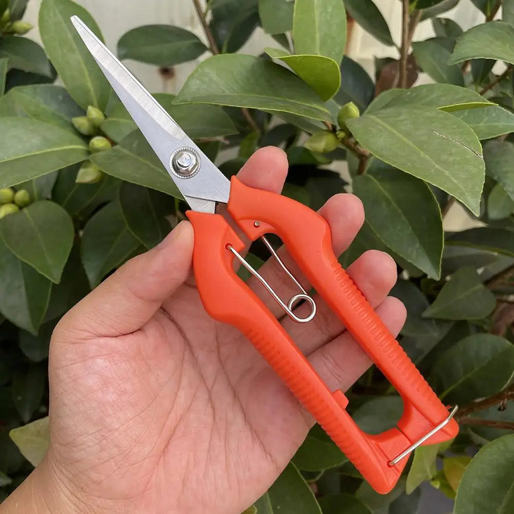 Stainless Steel Fruit Picking Pruning Shears | Garden Scissors