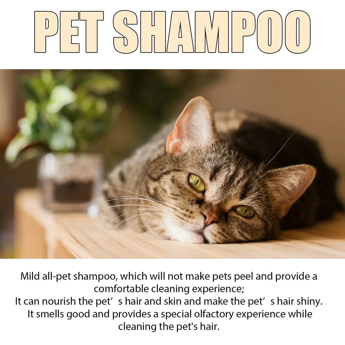 YEGBONG Natural Pet Shampoo for Cats & Dogs – 100/300ml
