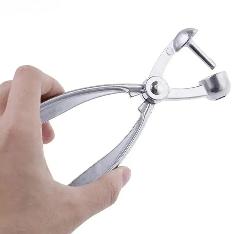Cherry Pitter & Fruit Pit Remover | Stainless Steel Tool