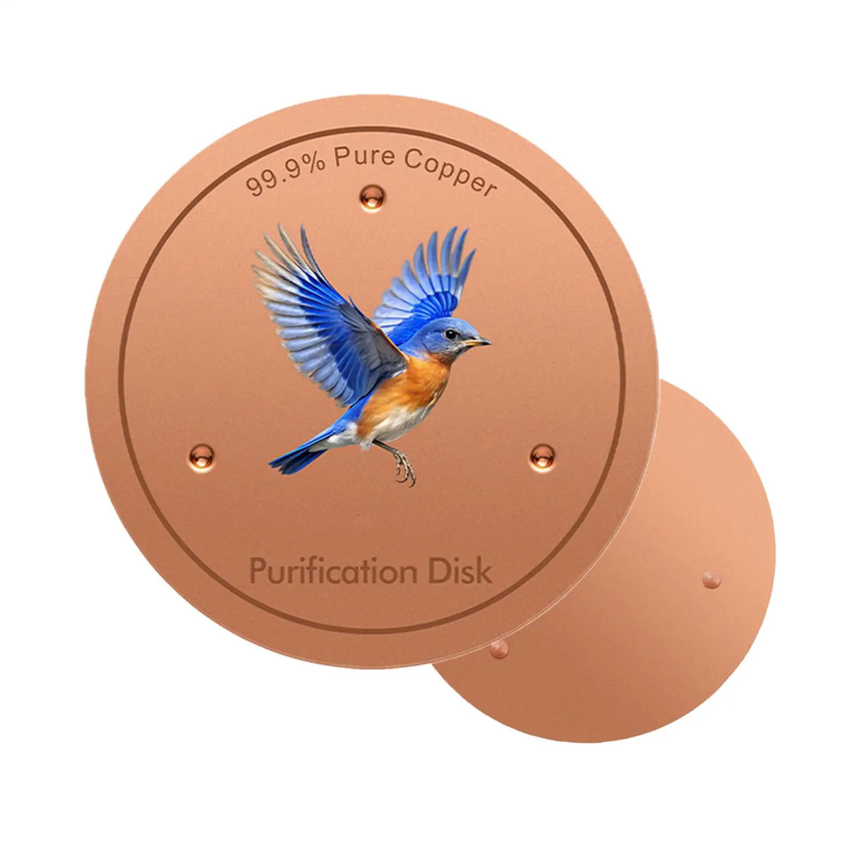 Copper Metal Bird Bath Purifier Disc | Triple-Point Support