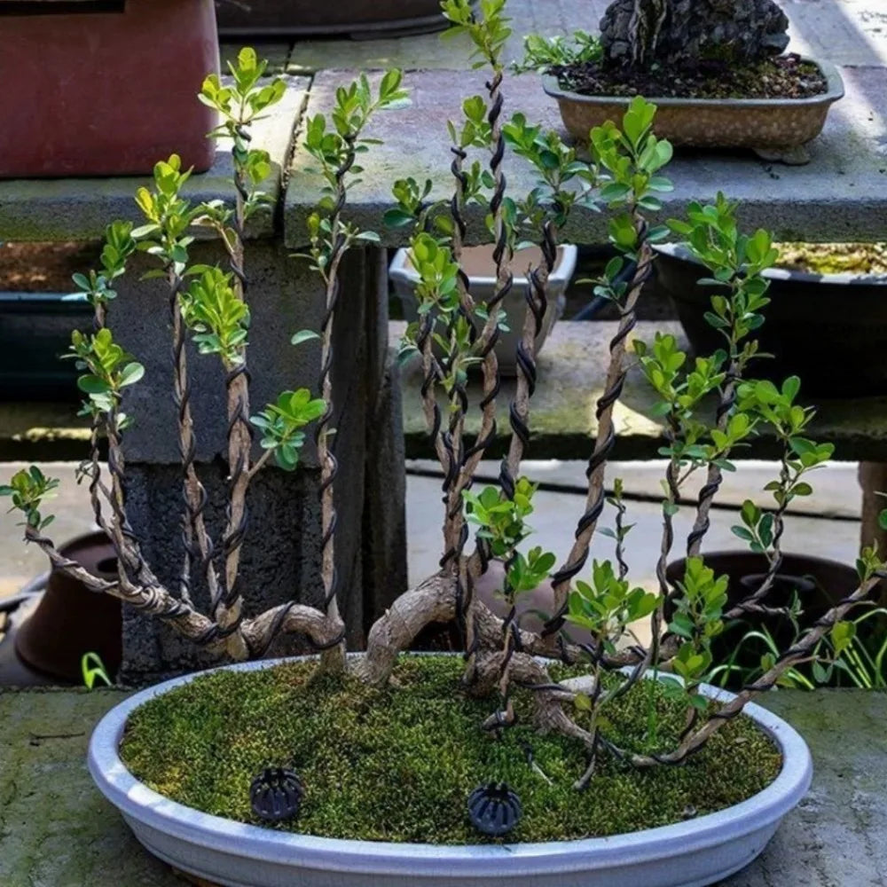 10M Aluminum Bonsai Training Wire – 1mm & 2mm | DIY Garden