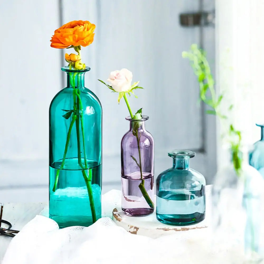 Transparent Glass Flower Vase | Modern Hydroponic Table Decor
