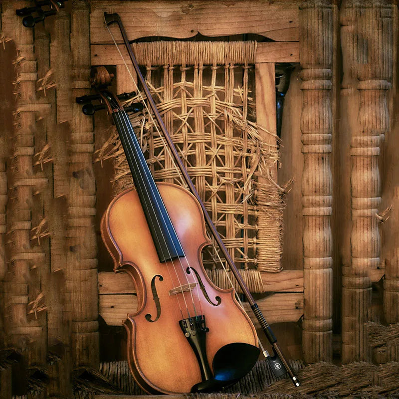Crazy Stone Violin Bow – All Sizes | Kids & Beginners