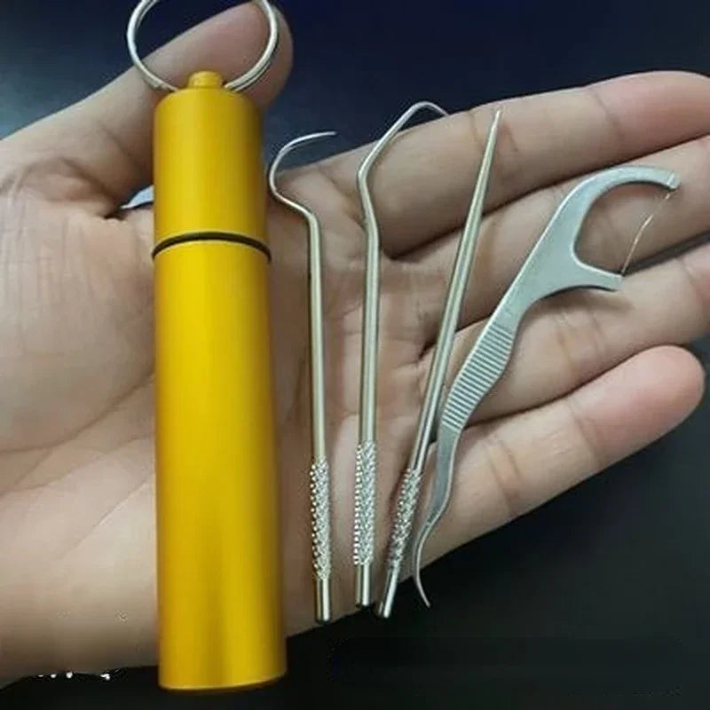 Stainless Steel Toothpick & Floss Set | Portable Storage Tube