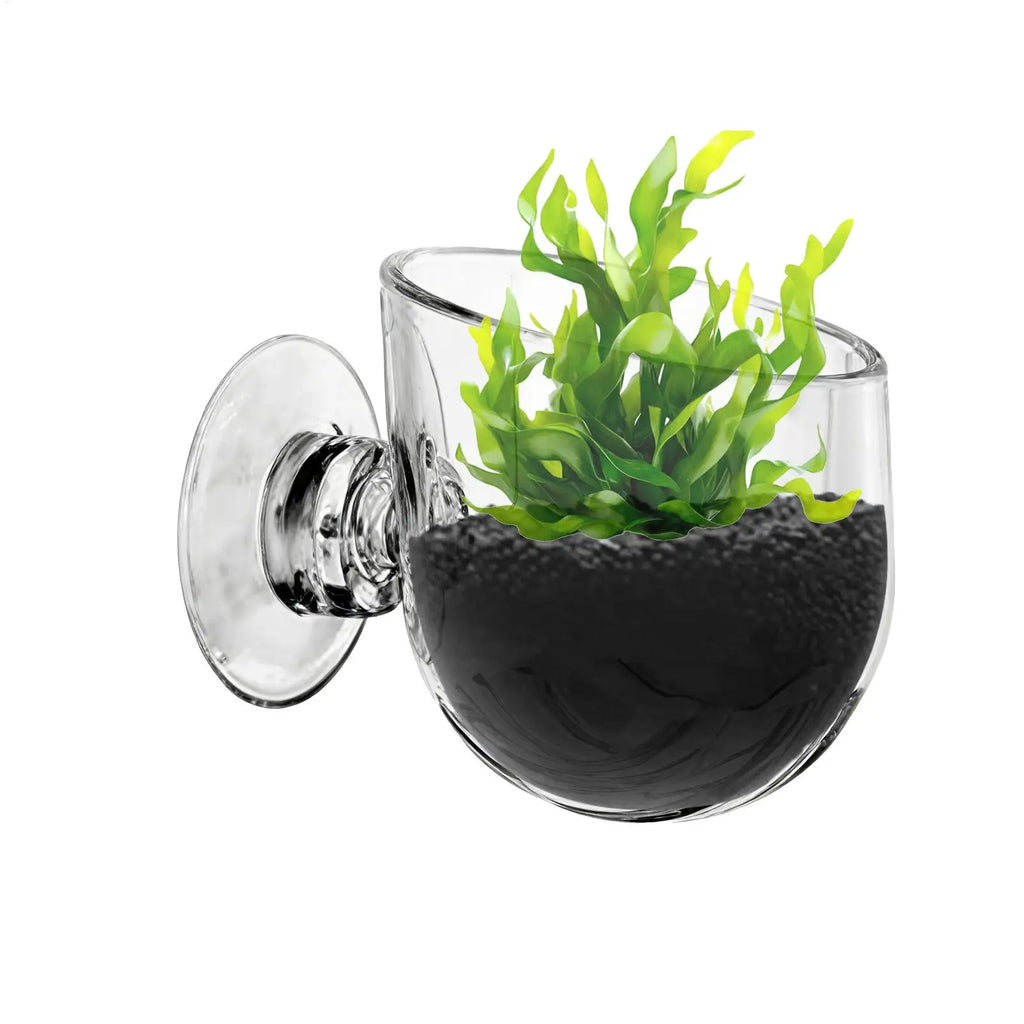 Suction Cup Plant Holder Clear Acrylic Aquatic Pot Propagation