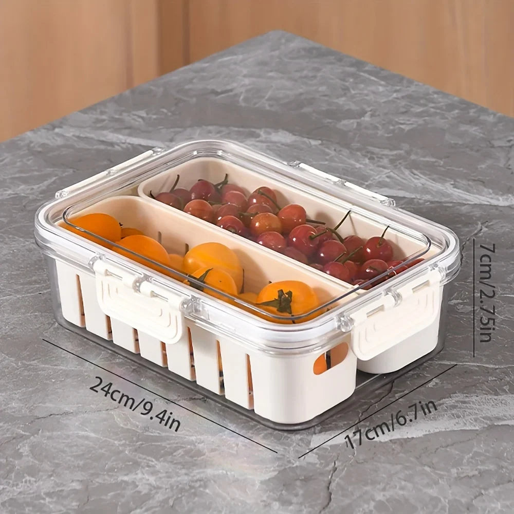 Modern Plastic Snack Tray Lid Handles Portable 2 4 Compartment Food