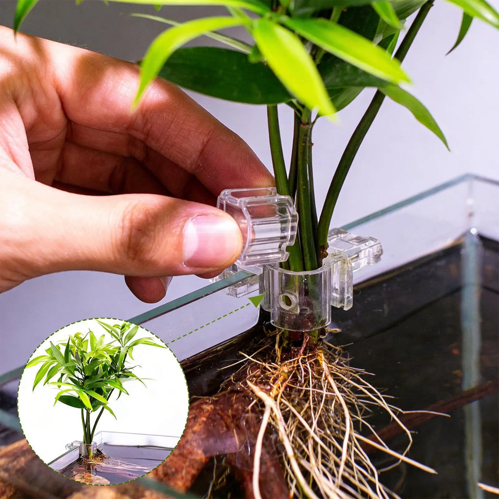 6-Piece Clear Aquarium Plant Holder – Hydroponic Fish Tank Cup