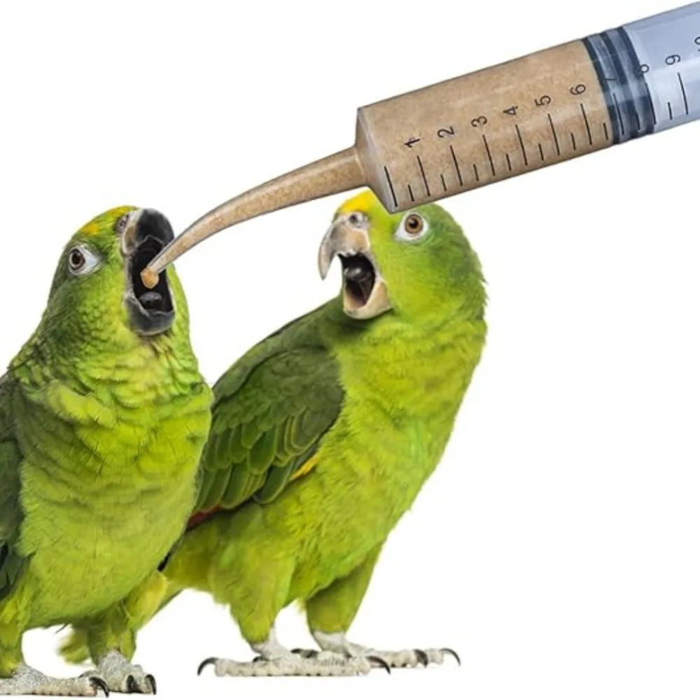 Pet Feeding Syringe 12ml – Oral Dosing for Birds & Small Pets