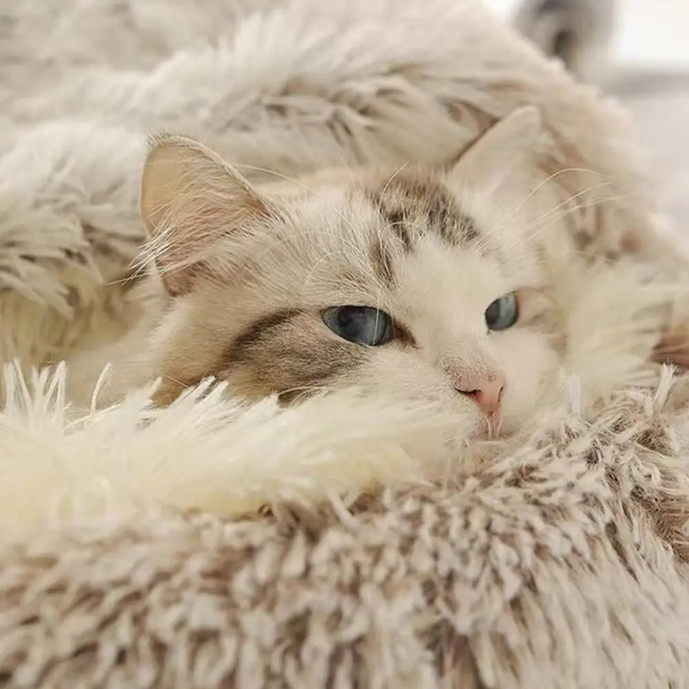 Winter Plush Round Cat Bed – Warm Semi-Enclosed Pet Nest