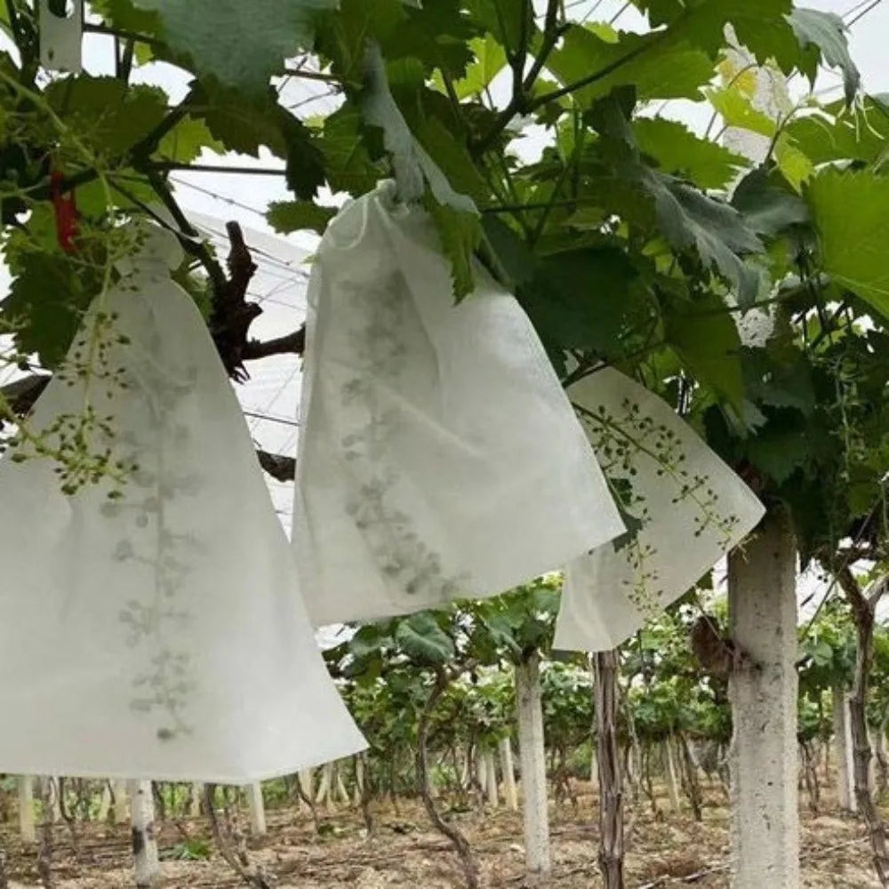100-Pack Non-Woven Fruit Protection Bags | Breathable Garden Mesh