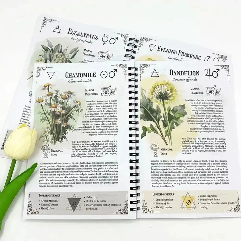 Herbal Remedies Guide Book 28 Pages DIY Natural Healing Recipes