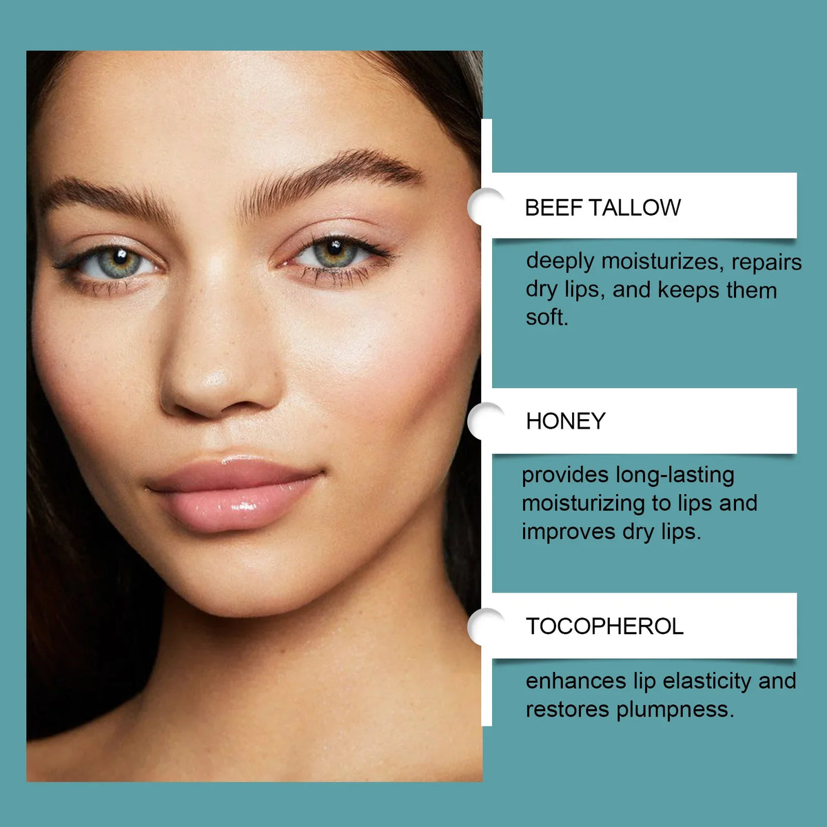 Hoygi Tallow Lip Balm – Deep Moisture, Plump & Smooth Lips