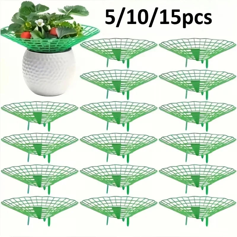 Strawberry & Watermelon Plant Support Frames | 5/10/15pcs